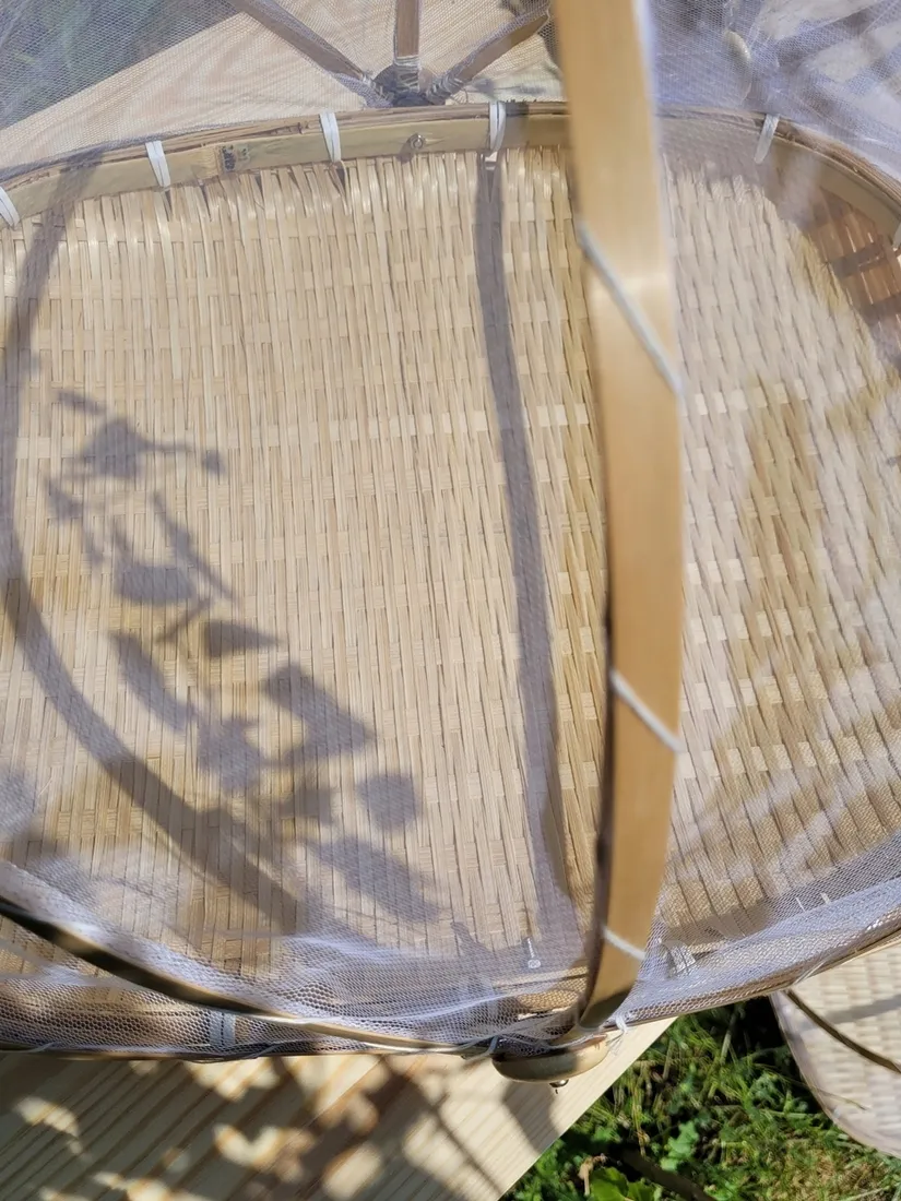 taca-mplco-natural-kolor-bialy