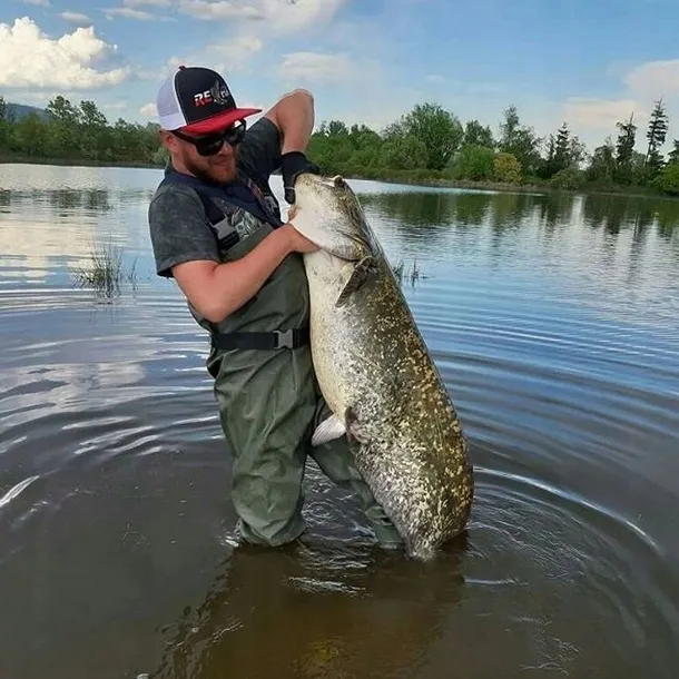 kolowrotek-dam-quick-3-fs-5-1-1-nawoj-89-cm