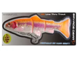 savage-gear-4d-line-thru-trout-ss-25cm-180g