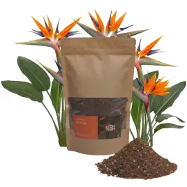 ziemia-podloze-bigos-do-strelicji-roslin-gliniastych-urban-jungle-1l