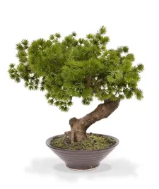 sztuczny-bonsai-pinia-40-w-ceramicznej-doniczce-misa-gotowa-kompozycja