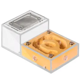 terrarium-ant-expert-0-l