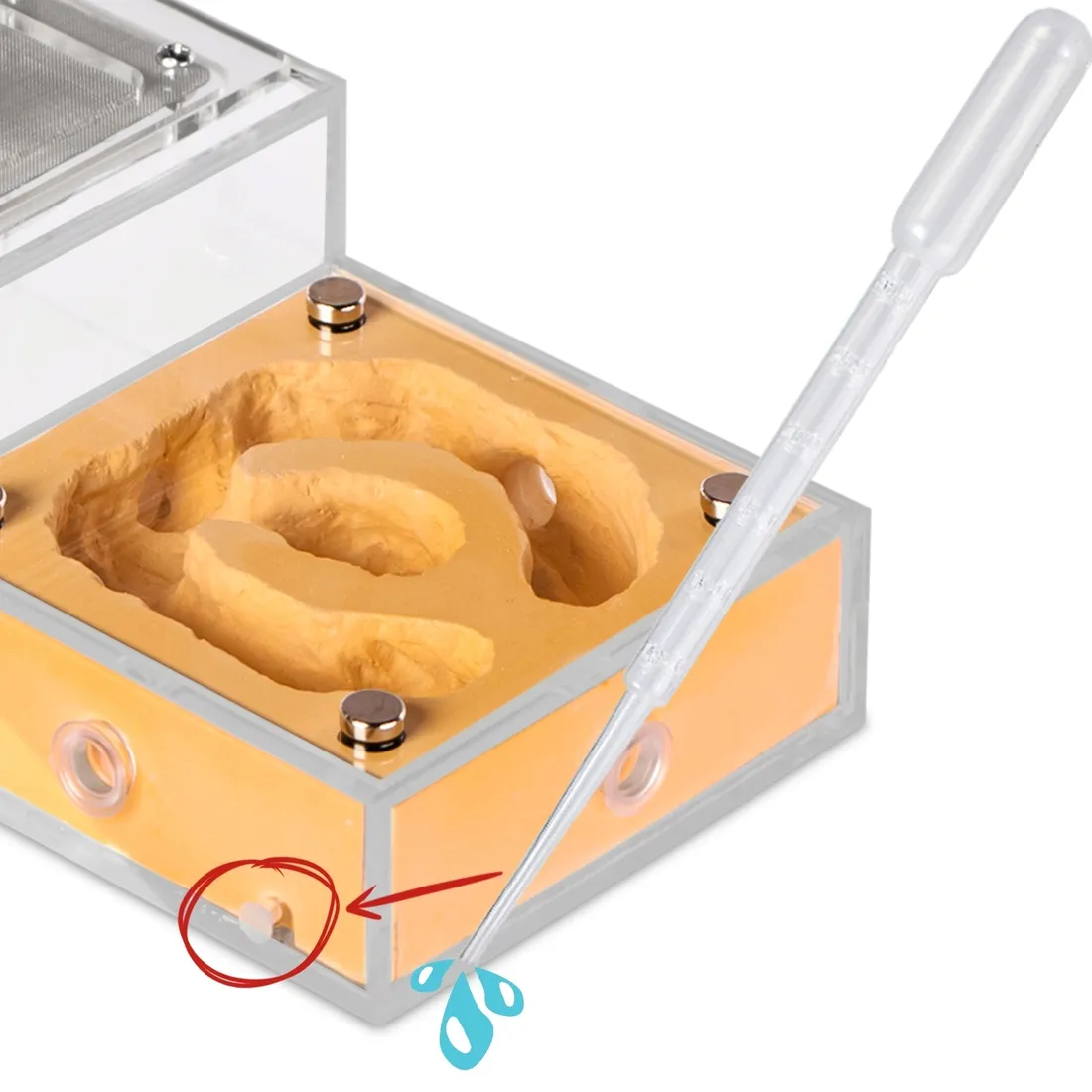 terrarium-ant-expert-0-l-marka-bez-marki