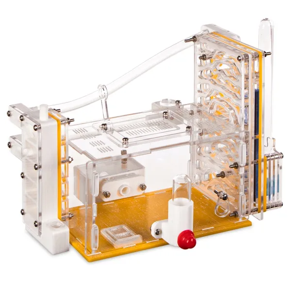 terrarium-ant-expert-0-l-marka-bez-marki-szerokosc-produktu-9-5-cm