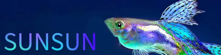 silnik-sunsun-cbg-800-rodzaj-pompa