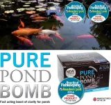 preparat-evolution-aqua-pure-pond-bomb-waga-0-2-kg