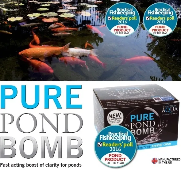 preparat-evolution-aqua-pure-pond-bomb-forma-tabletki