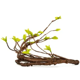 repti-zoo-jungle-vines-liana-rozgaleziona-gieta