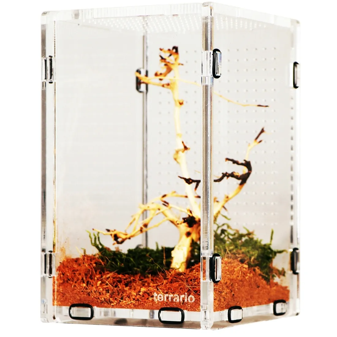 akrylowe-terrarium-dla-modliszek-owadow-i-pajakow-mantis-area-l-12x12x20cm-marka-terrario