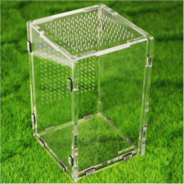 akrylowe-terrarium-dla-modliszek-owadow-i-pajakow-mantis-area-l-12x12x20cm-waga-z-opakowaniem-0-15-kg
