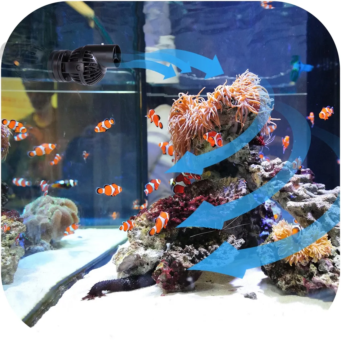 cyrkulator-jebao-cwp-3000