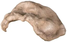 repti-zoo-jaskinia-kamienno-gliniana-29x20x12cm