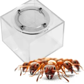 terrarium-ant-expert-032-l