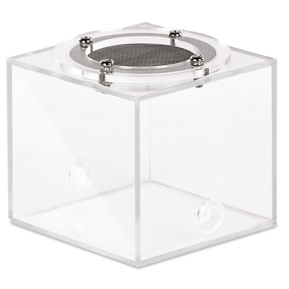 terrarium-ant-expert-032-l