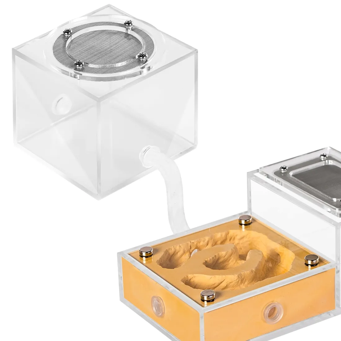 terrarium-ant-expert-032-l