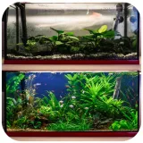 preparat-evolution-do-akwarium-100-ml-kapsulki-na-szlam-pojemnosc-100-ml