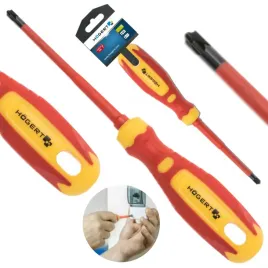 hoegert-wkretak-plasko-krzyzowy-pz2-sl6-100-mm-1000v-slim-crmo-ht1s977