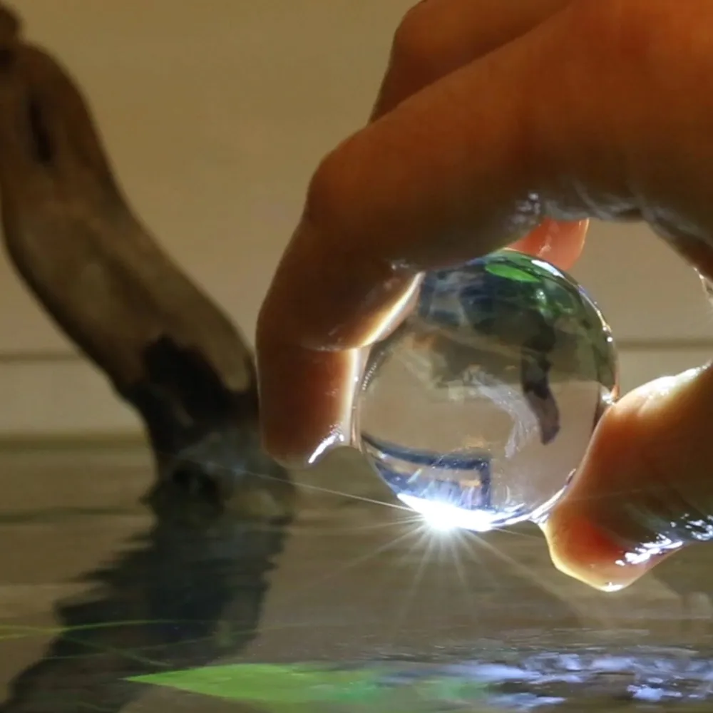 evolution-aqua-pure-bomb-bakterie-start-akwarium