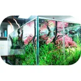 dyfuzor-co2-neo-clip-l-23mm-akrylowy-z-kolankiem-mikro-babelki-do-akwarium-marka-neo-waga-z-opakowaniem-0-07-kg