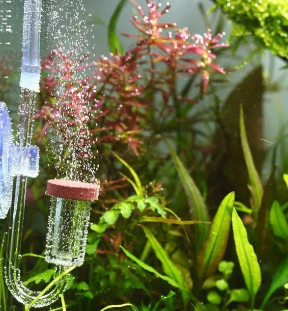 dyfuzor-co2-neo-clip-l-23mm-akrylowy-z-kolankiem-mikro-babelki-do-akwarium-rodzaj-dyfuzora-szklany-marka-neo