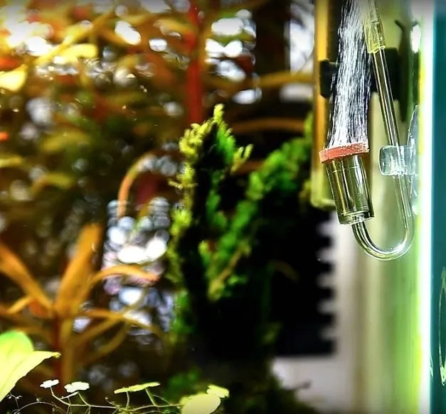 dyfuzor-co2-neo-clip-l-23mm-akrylowy-z-kolankiem-mikro-babelki-do-akwarium-rodzaj-dyfuzora-szklany-kod-producenta-clip