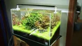 oswietlenie-led-dla-roslin-w-akwarium-sterowane-bluetooth-chihiros-a-ii-401-liczba-punktow-swietlnych-40