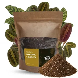 ziemia-podloze-bigos-do-maranty-kalatei-stromante-urban-jungle-3l