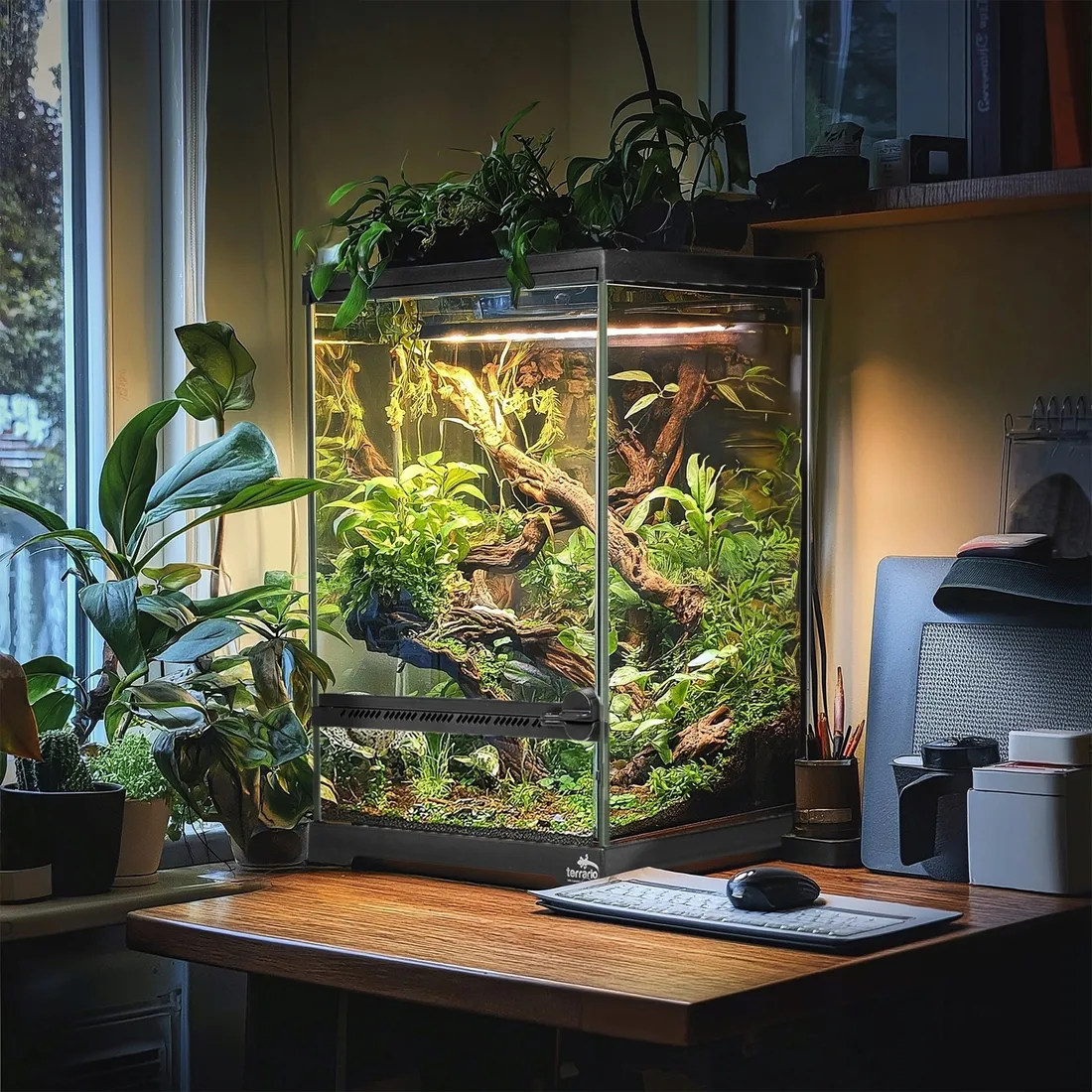 terrarium-terrario-13-l