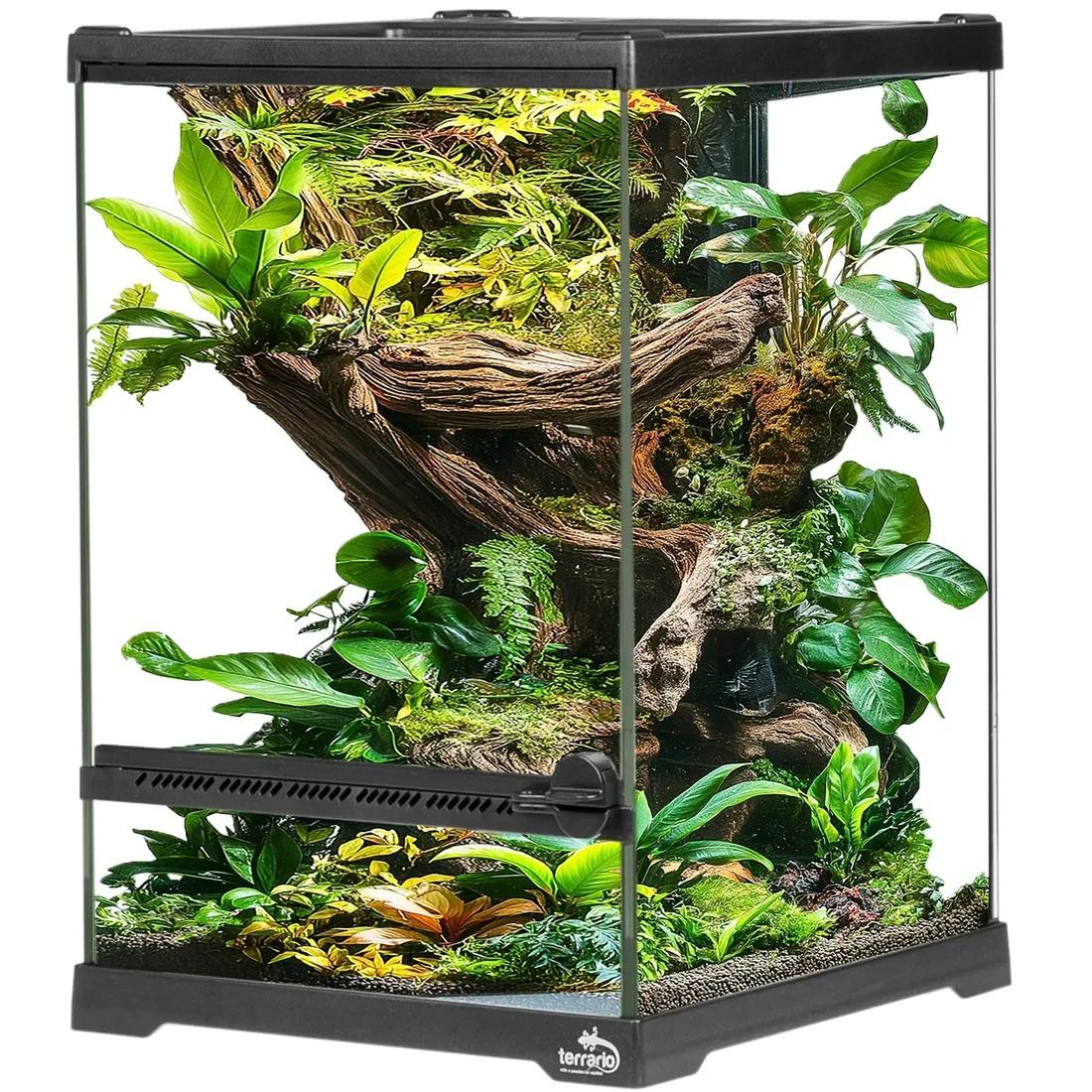 terrarium-terrario-13-l
