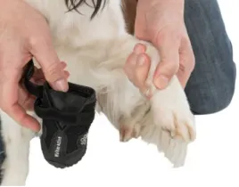 trixie-walker-buty-ochronne-dla-psa-l-tx-19465