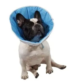 kolnierz-pooperacyjny-dla-psa-materialowy-grande-finale-xxl