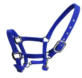 kantar-regulowany-dla-konia-niebieski-xl