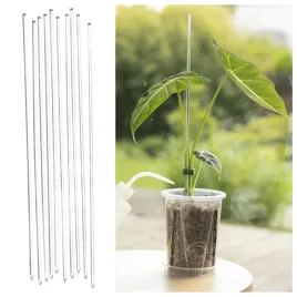 podpora-do-roslin-60cm-10szt-przezroczysta-akrylowa-do-storczykow-alokazji