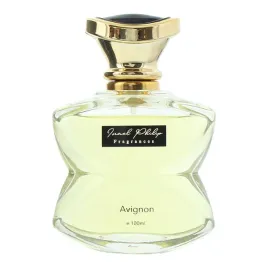 israel-philip-avignon-parfum-for-men-100-ml