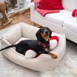 legowisko-ortopedyczne-comfy-rozmiar-s-creme-stan-nowy
