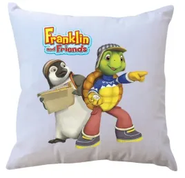 poduszka-z-wkladem-franklin-producent