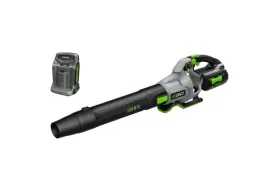 dmuchawa-akumulatorowa-lb6704e-z-ladowarka-i-akumulatorem-56v-ego-power