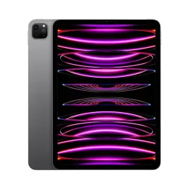 apple-ipad-pro-11-4th-gen-m2-8-gb-256-gb-space-gray-zaplombowany-eko