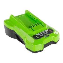 ladowarka-40v-2a-akumulatorow-baterii-greenworks