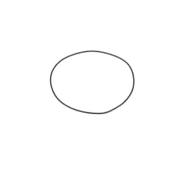 o-ring-pokrywy-uszczelniacza-walu-zc9001-zc9995