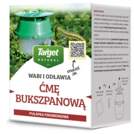 pulapka-feromonowa-na-cme-bukszpanowa