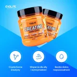 evolite-creatine-monohydrate-500-g