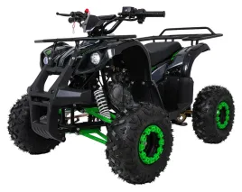 psp-atv006-zie