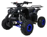 psp-atv006-nie