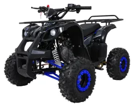 psp-atv006-nie