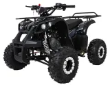 psp-atv006-cz