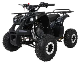 psp-atv006-cz