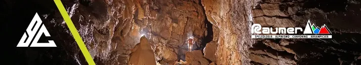 plakietka-ring-raumer-anellox-8-marka-inny