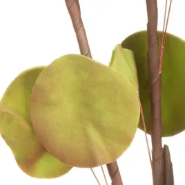 kwiat-flore-zielony-90-cm-ozywi-twoje-wnetrze