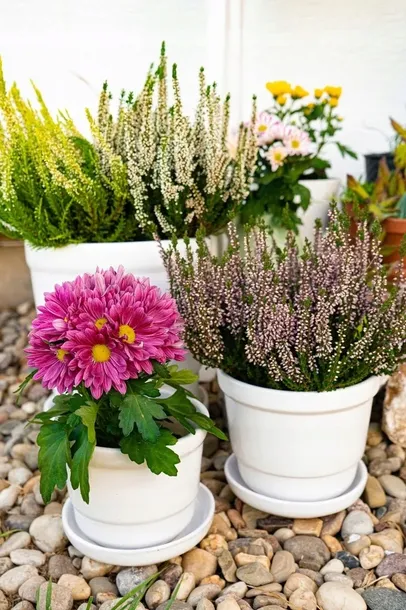 doniczka-ceramiczna-biala-30-cm-dlugosc-30-cm